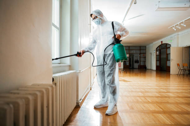 Best Real Estate Pest Inspections  in Flagtown, NJ